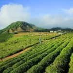 Malino Highland, a Popular Natural Tourist Attraction in Gowa