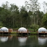 Ranca Upas, the Charm of Beautiful Natural Beauty in Bandung